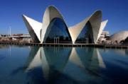 Thin shell concrete catenary shell structure, Oceanographic Park, Valencia, Spain