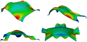 Vibration modes of 4 of the shells (2,3,5,8) shown in the previous image