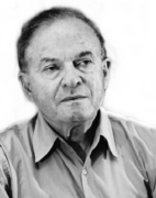 Professor Leonid I. Manevitch (1938-2020)