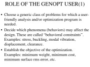 Role of the GENOPT user (1 of 2 slides)