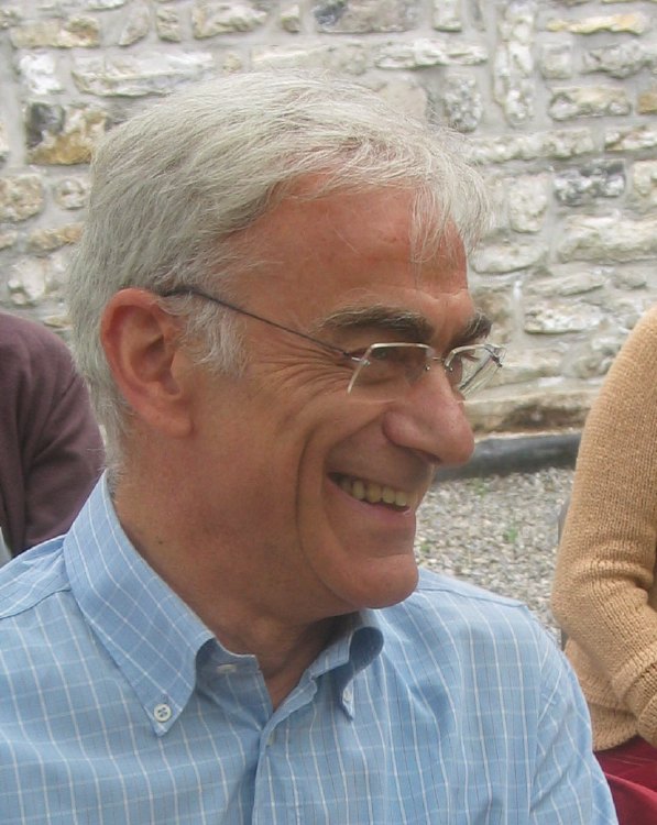 Professor Michel Géradin