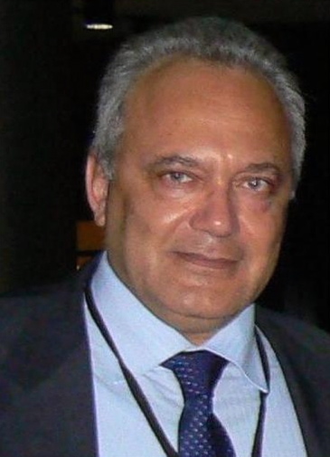 Professor Angelo Luongo
