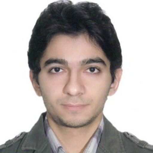 Professor Seyed Amir Hosein Hosseini