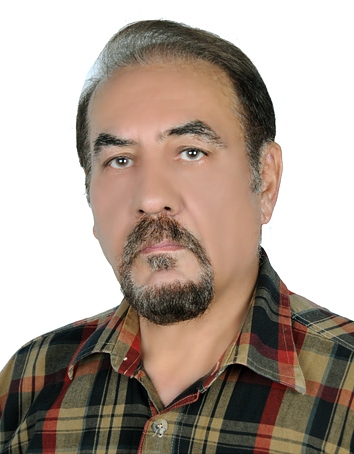 Professor Shahrokh Hosseini-Hashemi