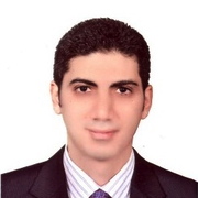 Professor Mostafa Fahmi Hassanein