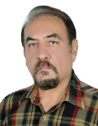 Professor Shahrokh Hosseini-Hashemi