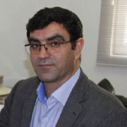 Professor Hossein Hosseini-Toudeshky