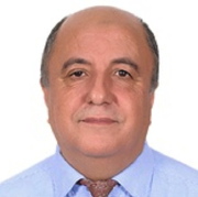 Professor Abderrahim Houmat