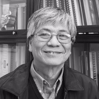Professor Quoc Son Nguyen