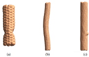 The buckled shapes of CNTs (Carbon NanoTubes): (a) shell wall, (b) column and (c) bump on the wall.