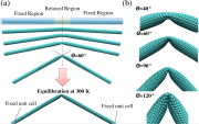 Bending-buckling of carbon nanotube (CNT)