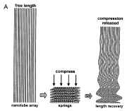 Nanotube foam: Undeformed, Compressed, Released