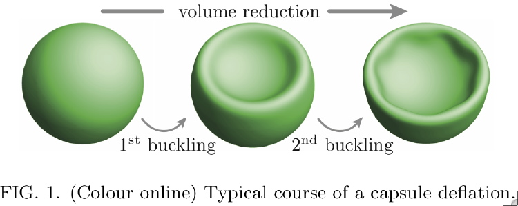 Primary and secondary buckling of a spherical shell under external pressure