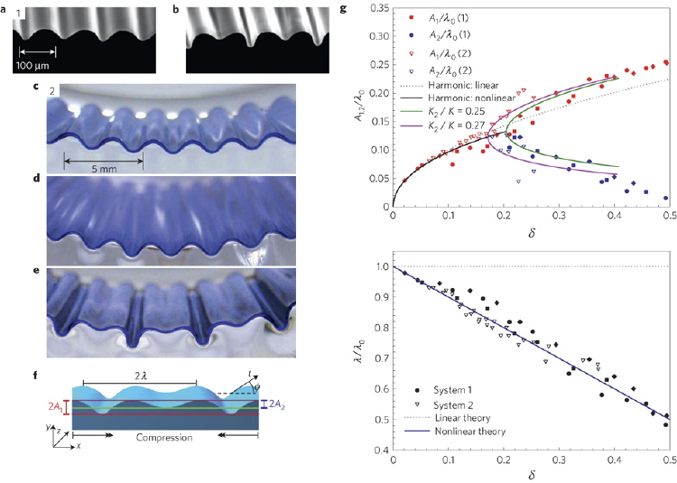 Confined thin film wrinkling and post-wrinkling localization