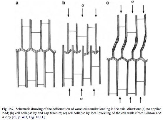 Fracture and buckling of wood cells loaded in longitudinal compression