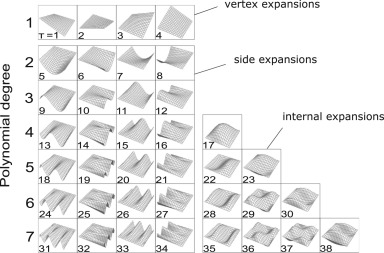 Legendre polynomal expansion for finite element models