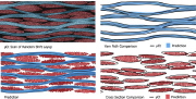 Six-layer as woven and compacted yarn geometry: X-ray CT scan versus prediction