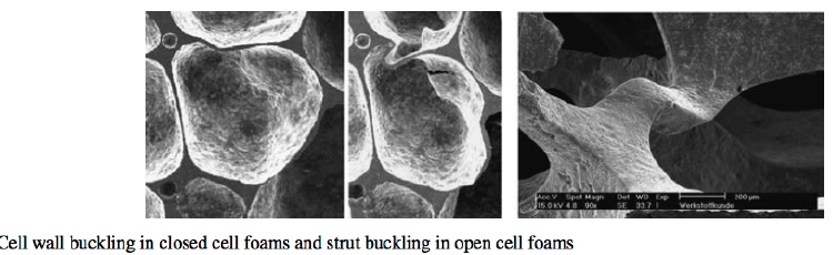 Sandwich cell foam buckling: A micro-type buckling