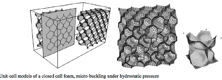 Sandwich cell foam buckling, a micro-scale buckling: Finite element models