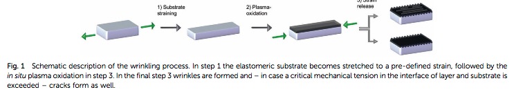 A process by which wrinkles can form in a thin film bonded to a pre-strained compliant substrate