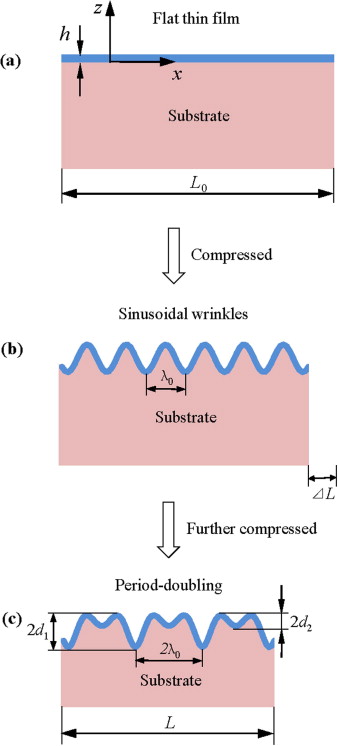 Stiff film on compliant substrate: buckling and post-buckling under uniform compression in the x-direction
