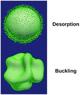 Particle desorption versus fluid interface buckling of a particle-covered drop subject to compression