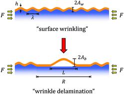 Wrinkling-to-delamination transition in a thin polymer film on a compliant substrate