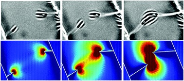 Interacting folds in a film bonded to a soft substrate under biaxial compression