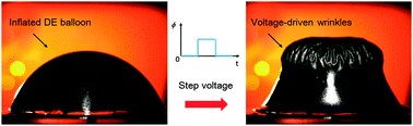 Nucleation and propagation of voltage-driven wrinkles in an inflated dielectric elastomer balloon