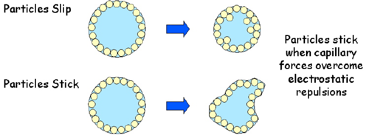 Mechanism of buckling of a spherical droplet containing a colloidal solution