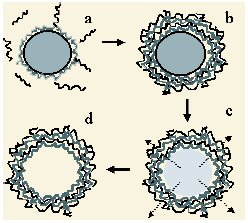Schematic of fabrication of multilayer spherical microcapsules