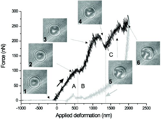 Load-deformation curve for a spherical microcapsule compressed between the AFM cantilever and a rigid flat substrate