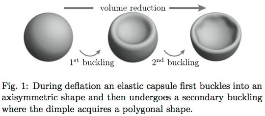 Primary and secondary buckling of an externally pressurized spherical shell