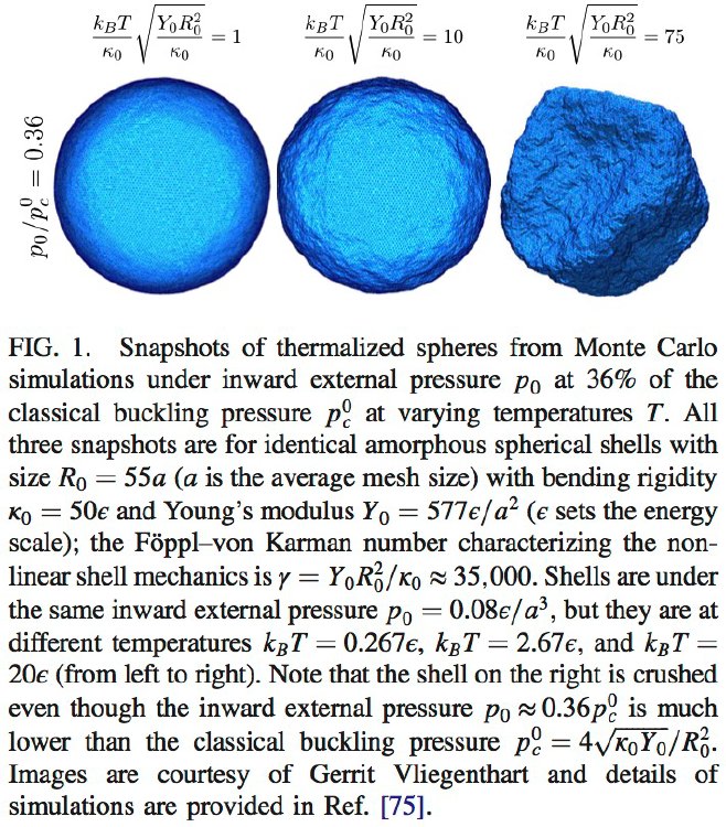Thermal buckling and postbuckling of an externally pressurized spherical capsule