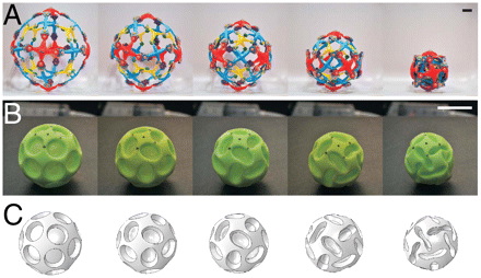 Sequence of progressivly deformed shapes: (A) Hoberman's Twist-o toy, (B) Buckliball, (C) Finite element simulation of Buckliball