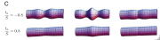 Axisymmetric deformation of cylindrical wall from surface compression (top) and tension (bottom) and concentrated moments