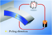 Nonlinear bending deformation of soft electret and prospect of engineering flexoelectricity and transverse piezoelectricity