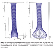 Axisymmetric deformations of prestretched cylindrical membranes: (a) before and (b) after the limit point
