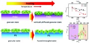 Thermal stability and dynamics of soft nanoparticle membranes