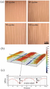 Ridge formation (buckling) in plastic liquid films on elastomers by ratcheting