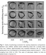 Creasing of evaporation-driven cavity collapse
