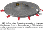 Finite element model of a delaminated thin film under in-plane compression and downward pressure