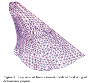 Finite element model of the locust's hind wing