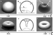 Invagination during the collapse of an inhomogeneous spheroidal shell