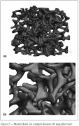 Finite element model of an open-cell foam: (top) entire domain; (bottom) a magnified view