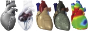 The human heart (leftmost 2 images) and a finite element model of it (rightmost 3 images)