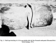 Buckling of a 16-inch gas pipeline from the San Fernando earthquake