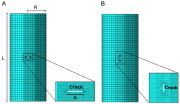 Cylindrical shell with (A) circumferential and (B) longitudinal crack