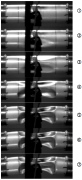 Fig. 5. Sequence of high speed images that show the dynamic collapse of IMP69 (images taken at 0.16 ms intervals).