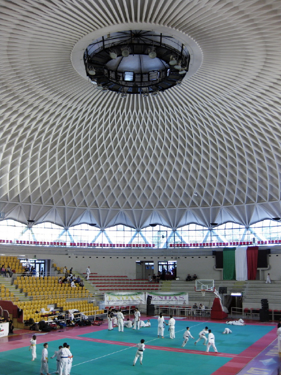 Roof of the Palazzetto dello Sport, Rome, Italy, 1958, by architect Pier Luigi Nervi
